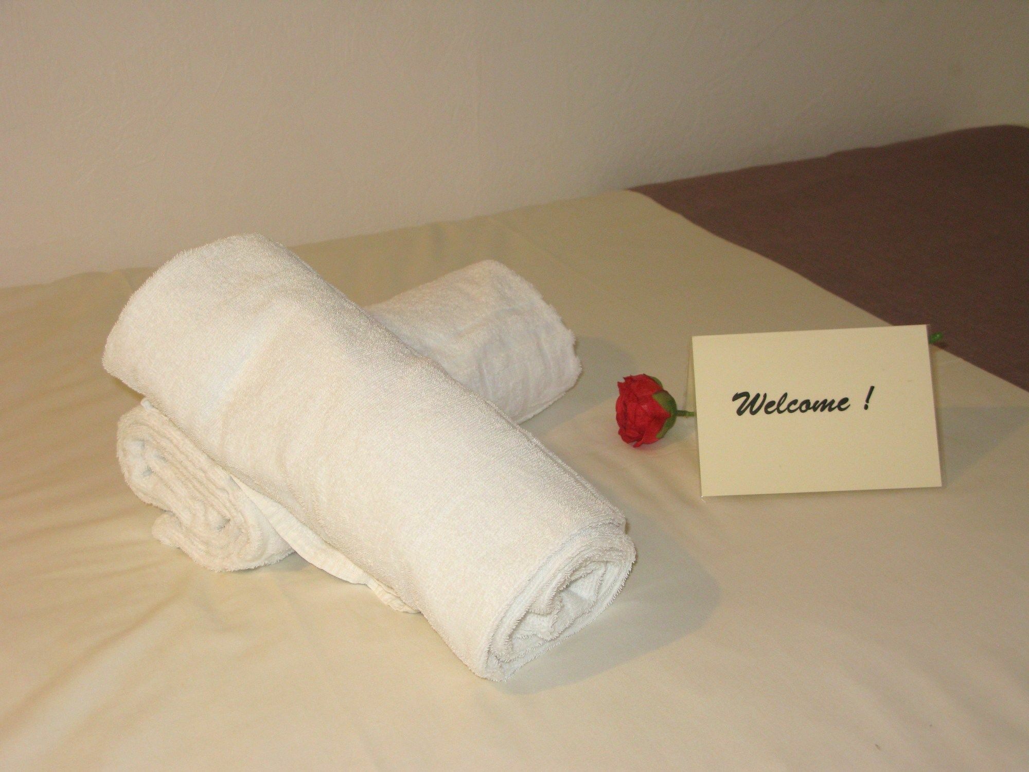 Au Berceau De Bernadette Bed & Breakfast Lourdes Exterior photo